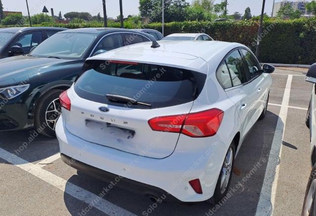 FORD - Focus - 1.5 EcoBlue 95CV 5p. Business