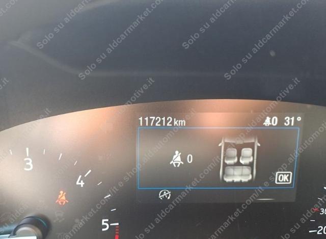 FORD - Focus - 1.5 EcoBlue 95CV 5p. Business