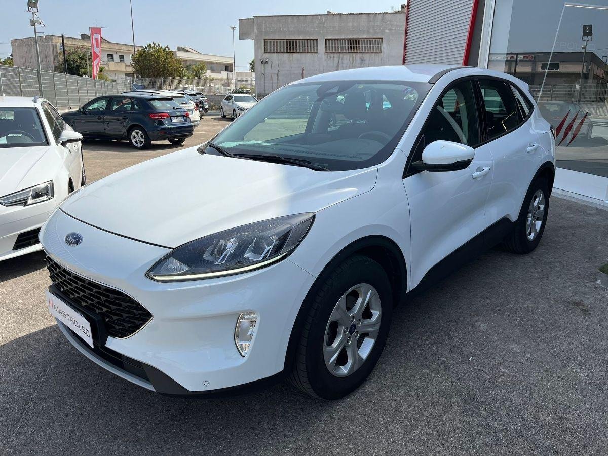 FORD - Kuga - 1.5 EcoBlue 120 CV 2WD Connect(SEDE DI MAGLIE)
