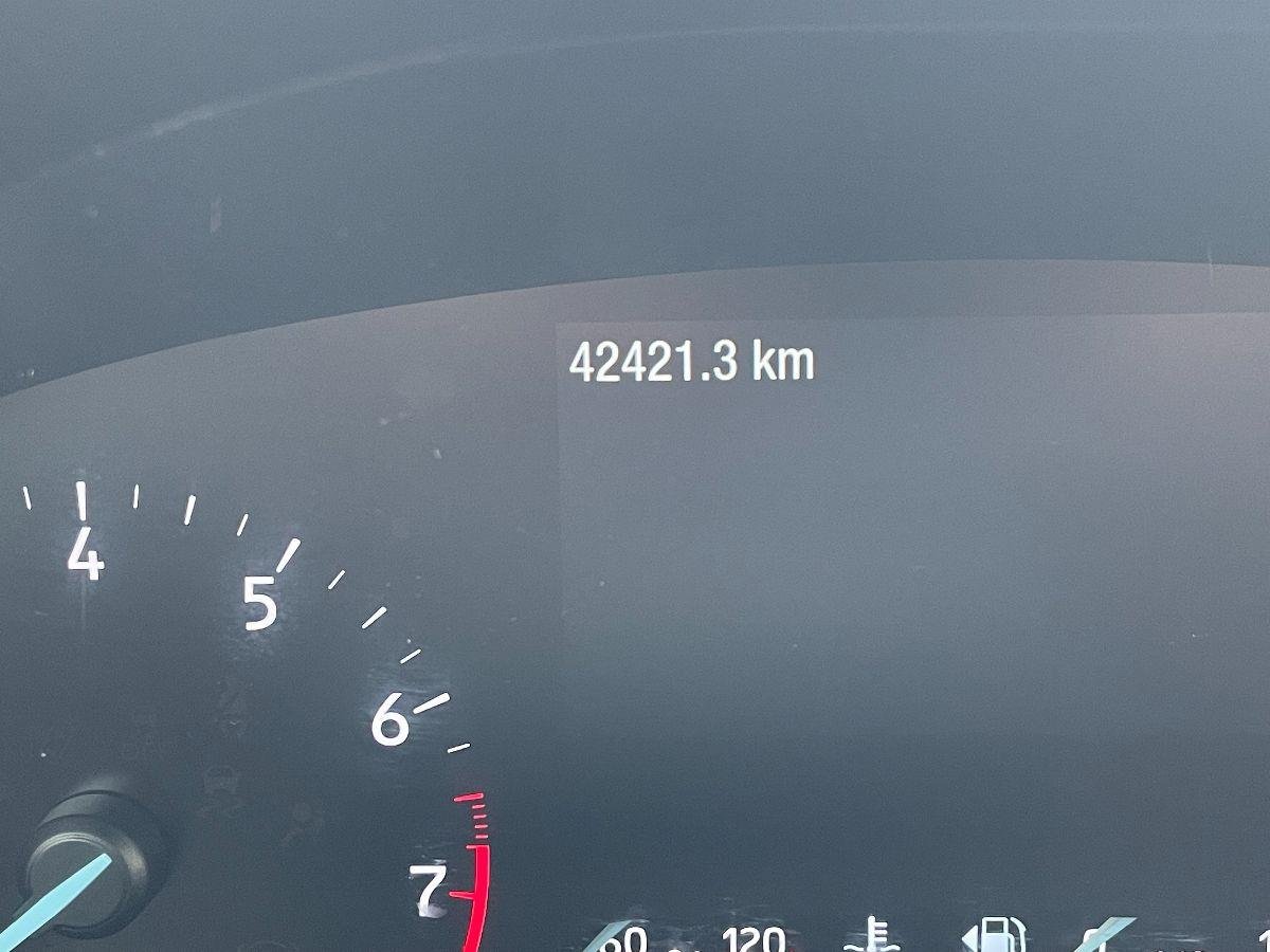 FORD - Focus - 1.0 EcoBoost 125CV 5p. ST Line