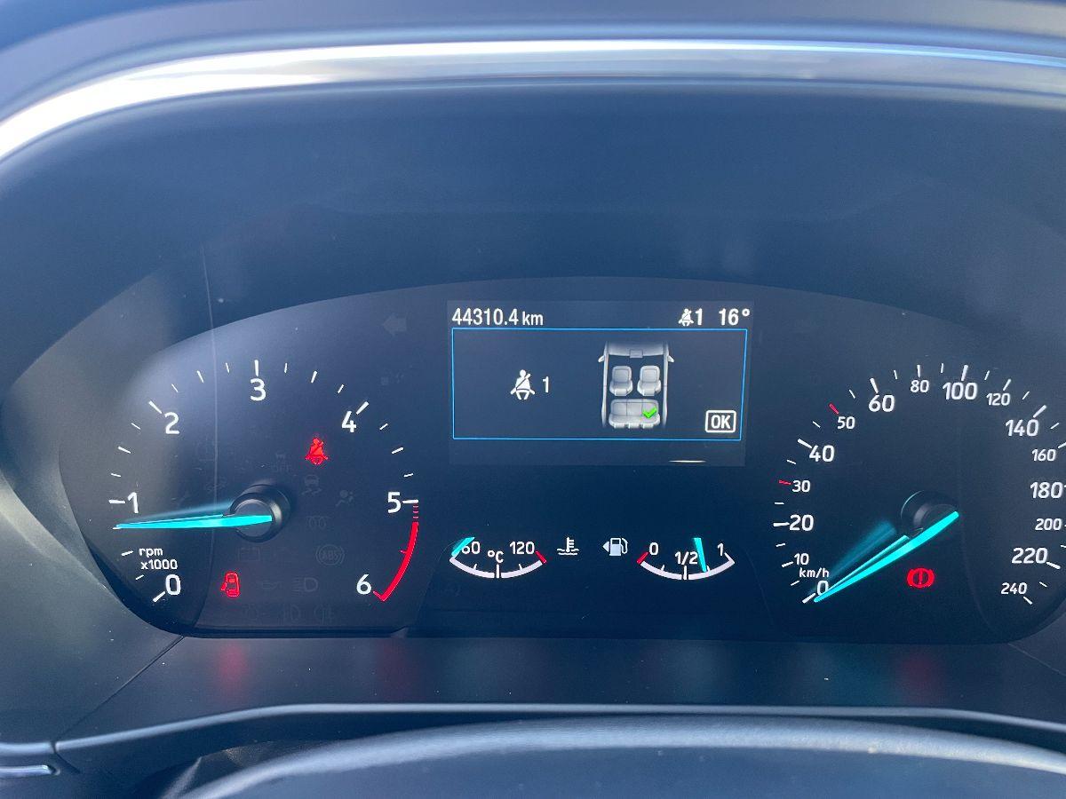FORD - Focus - 1.5 EcoBlue 120CV 5p. Active